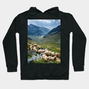 Sheep on the mountain Hoodie